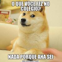O QUE VOCE FEZ NO COLÉGIO?NADA PORQUE AHA SEI
