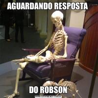 AGUARDANDO RESPOSTA DO ROBSON