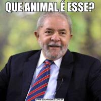 QUE ANIMAL É ESSE?