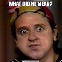 WHAT DID HE MEAN?


