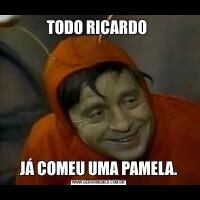 TODO RICARDO JÁ COMEU UMA PAMELA.