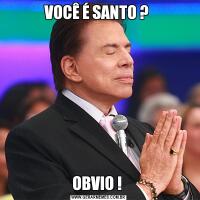 VOCÊ É SANTO ? OBVIO ! 