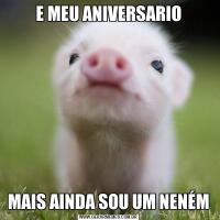 E MEU ANIVERSARIOMAIS AINDA SOU UM NENÉM