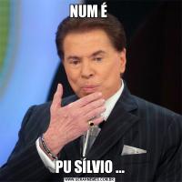 NUM É PU SÍLVIO ...