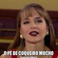 O PÉ DE COQUEIRO MUCHO