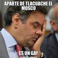 APARTE DE TLACUACHE EL MOSCOES UN GAY