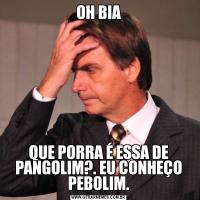 OH BIAQUE PORRA É ESSA DE PANGOLIM?. EU CONHEÇO PEBOLIM.