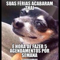 SUAS FÉRIAS ACABARAM THAIÉ HORA DE FAZER 5 AGENDAMENTOS POR SEMANA