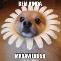 BEM VINDAMARAVILHOSA
