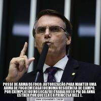 POSSE DE ARMA DE FOGO: AUTORIZAÇÃO PARA MANTER UMA ARMA DE FOGO EM CASA (OU NUMA RESIDÊNCIA DE CAMPO, POR EXEMPLO) OU NO LOCAL DE TRABALHO ( O PAI DA ANNA ESTHER POR QUE ELA E A PRINCESA DELE ).