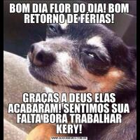 BOM DIA FLOR DO DIA! BOM RETORNO DE FÉRIAS!GRAÇAS A DEUS ELAS ACABARAM! SENTIMOS SUA FALTA BORA TRABALHAR KERY!