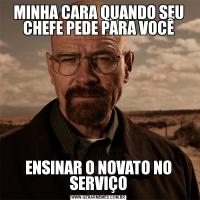 MINHA CARA QUANDO SEU CHEFE PEDE PARA VOCÊENSINAR O NOVATO NO SERVIÇO