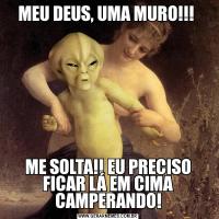 MEU DEUS, UMA MURO!!! 
ME SOLTA!! EU PRECISO FICAR LÁ EM CIMA CAMPERANDO!