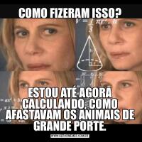 COMO FIZERAM ISSO?ESTOU ATÉ AGORA CALCULANDO, COMO AFASTAVAM OS ANIMAIS DE GRANDE PORTE.
