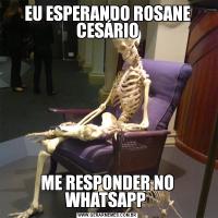 EU ESPERANDO ROSANE CESÁRIOME RESPONDER NO WHATSAPP 