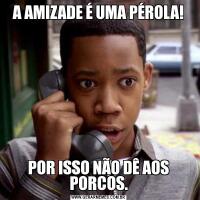 A AMIZADE É UMA PÉROLA!POR ISSO NÃO DÊ AOS PORCOS.