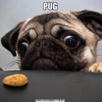 PUG