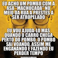 EU ACHO UM POMBO COM A ASA &QUOT;MACHUCADA&QUOT; NO MEIO DA RUA A PRESTES A SER ATROPELADOEU VOU AJUDA-LO MAS QUANDO O CARRO CHEGA PERTO DO POMBO, O POMBO SAI VOANDO, ASSIM ME ENGANANDO E FAZENDO EU PERDER TEMPO