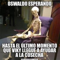 OSWALDO ESPERANDOHASTA EL ÚLTIMO MOMENTO QUE VIKY LLEGUÉ A AYUDAR A LA COSECHA