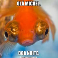 OLÁ MICHEL.BOA NOITE.