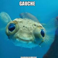 GAUCHE   