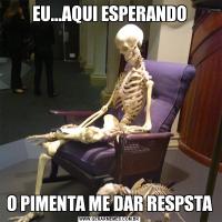 EU...AQUI ESPERANDOO PIMENTA ME DAR RESPSTA