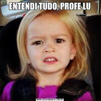 ENTENDI TUDO, PROFE LU