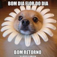 BOM DIA FLOR DO DIABOM RETORNO 