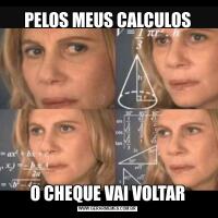 PELOS MEUS CALCULOSO CHEQUE VAI VOLTAR