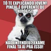 TÔ TE EXPLICANDO JOVEM! PINEAL É DIFERENTE DE HIPÓFISENÃO ENTENDEU? EXAME FINAL TÁ AI PRA ISSO!