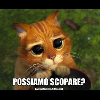 POSSIAMO SCOPARE?