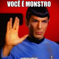 VOCÊ É MONSTRO