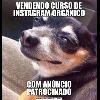 VENDENDO CURSO DE INSTAGRAM ORGÂNICOCOM ANÚNCIO PATROCINADO