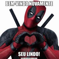 BEM-VINDO NOVAMENTESEU LINDO!