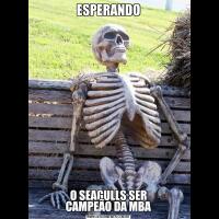 ESPERANDOO SEAGULLS SER
CAMPEÃO DA MBA