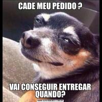 CADE MEU PEDIDO ?VAI CONSEGUIR ENTREGAR QUANDO?
