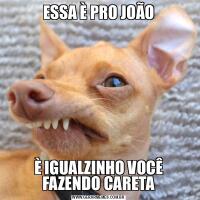 ESSA È PRO JOÃOÈ IGUALZINHO VOCÊ FAZENDO CARETA