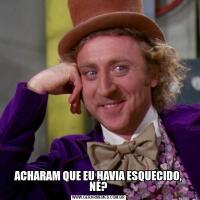 ACHARAM QUE EU HAVIA ESQUECIDO, NÉ?