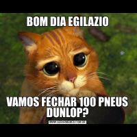 BOM DIA EGILAZIOVAMOS FECHAR 100 PNEUS DUNLOP?