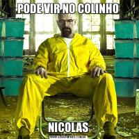 PODE VIR NO COLINHONICOLAS
