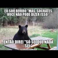 EU SOU BURRO."MAS, SÓCRATES, VOCÊ NÃO PODE DIZER ISSO."ENTÃO DIREI "SÓ SEI QUE NADA SEI."