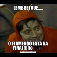 LEMBREI QUE.....O FLAMENGO ESTÁ NA FINAL!!!!!