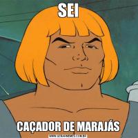 SEICAÇADOR DE MARAJÁS