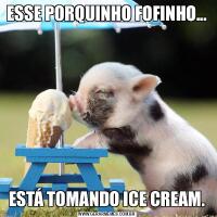 ESSE PORQUINHO FOFINHO...ESTÁ TOMANDO ICE CREAM.