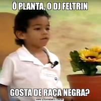 Ô PLANTA, O DJ FELTRINGOSTA DE RAÇA NEGRA?