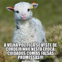 A VELHA POLITICA SE VESTE DE CORDEIRINHO NESTA ÉPOCA. CUIDADOS COM AS FALSAS PROMESSAS!!!