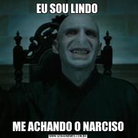 EU SOU LINDO ME ACHANDO O NARCISO