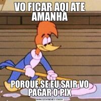 VO FICAR AQI ATE AMANHAPORQUE SE EU SAIR VO PAGAR O PIX