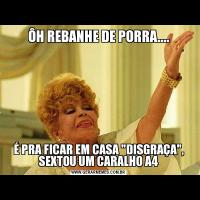 ÔH REBANHE DE PORRA....É PRA FICAR EM CASA 