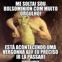 ME SOLTA! SOU BOLSOMINION COM MUITO ORGULHO!ESTÁ ACONTECENDO UMA VERGONHA ALI! EU PRECISO IR LÁ PASSAR!